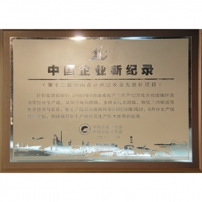 中國(guó)企業(yè)新紀(jì)錄第十二批重大創(chuàng)新項(xiàng)目