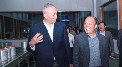 2010年11月，時(shí)任浙江省委常委、組織部長(zhǎng)蔡奇到中國(guó)巨石視察。他對(duì)企業(yè)立足浙江、走向世界的做法給予肯定和鼓勵(lì)，希望企業(yè)積極開(kāi)展?fàn)幃?dāng)“發(fā)展強(qiáng)、黨建強(qiáng)”先進(jìn)企業(yè)活動(dòng)，為企業(yè)科學(xué)發(fā)展注入動(dòng)力，以黨內(nèi)創(chuàng)先帶動(dòng)企業(yè)創(chuàng)先，讓企業(yè)創(chuàng)先爭(zhēng)優(yōu)形成長(zhǎng)效機(jī)制。